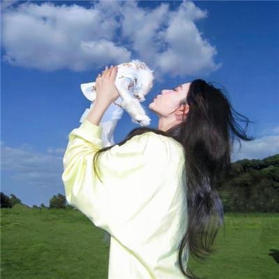 心链 在线观看